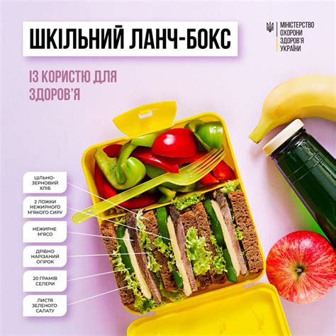 Как сложить ланч-бокс для школьника - советы диетолога | РБК Украина