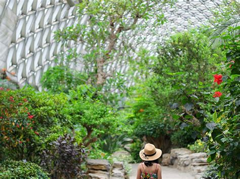 2022上海植物园门票,上海上海植物园游玩攻略,上海植物园游览攻略路线/地址/门票价格-【去哪儿攻略】