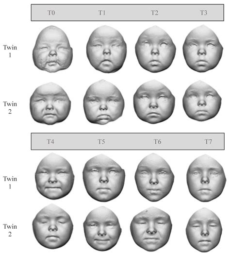 Face Similarity Test