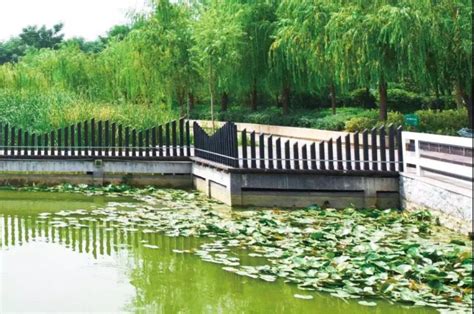 浐灞：推广节水技巧 传递节水观念 推进再生水利用 - 丝路中国 - 中国网