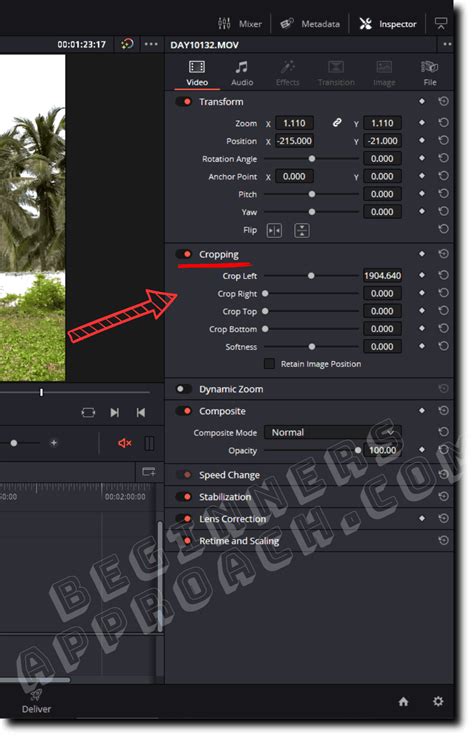 How to Crop Resolution in DaVinci Resolve 的图像结果