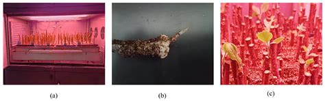 Design and Optimization of Air Inlet in Cuttings Incubator