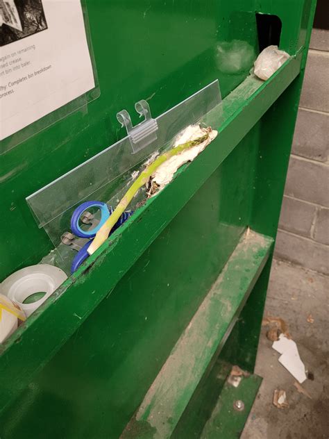 Day 33. The cucumber is entirely unrecognizable and a new challenger ...