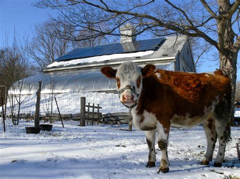 Natick Community Organic Farm – PV Squared