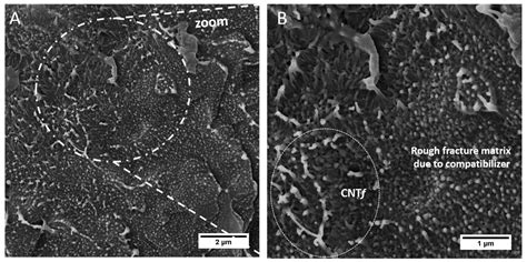 Effect of Carbon Nanotubes (CNT) Functionalization and Maleic Anhydride ...
