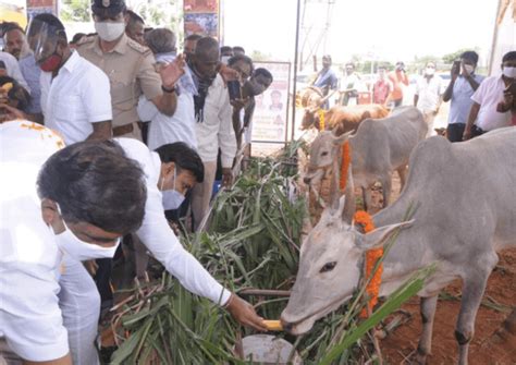 Karnataka: Minister K Sudhakar calls killing cows a 'crime' as talks of ...