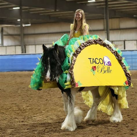 The 22 best horse halloween costumes of all time – Artofit