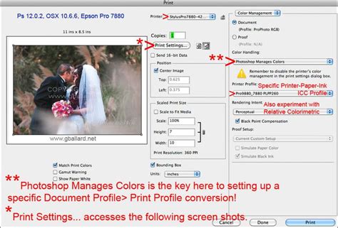 Image result for Epson Printer Color Settings
