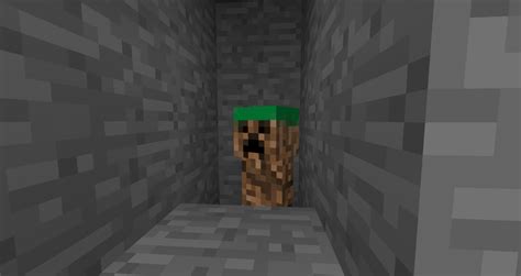 Image result for Creeper Spawning Tutorial Java 1.17