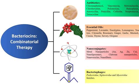 Enhancing antibacterial properties of bacteriocins using combination ...