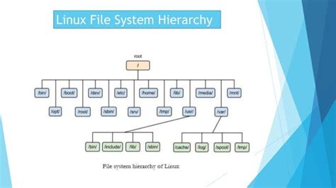 Image result for Linux Dev File System