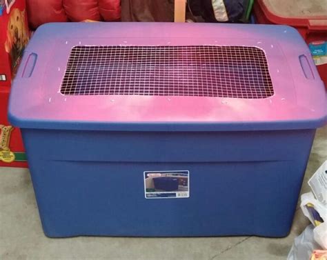 Chicken Brooder Ideas 的图像结果