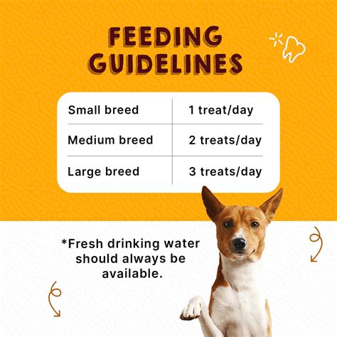 Buy Goofy Tails Blueberry and Apple Active Dental Twists Dog Treats ...