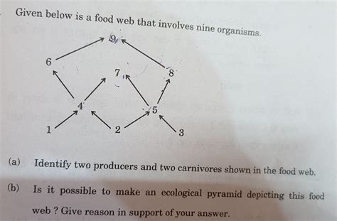 (a) Identify two producers and two carnivores shown in the food web. (b ...