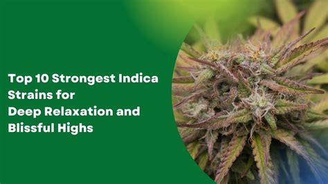 Indica Marijuana Strains 的图像结果