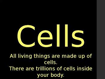 Cell PowerPoint by MPLS Burbs | TPT