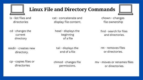 Image result for Linux Directory Commands
