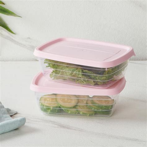 Buy Home Centre Fiesta Valiant Set of 2 Polypropylene Storage ...