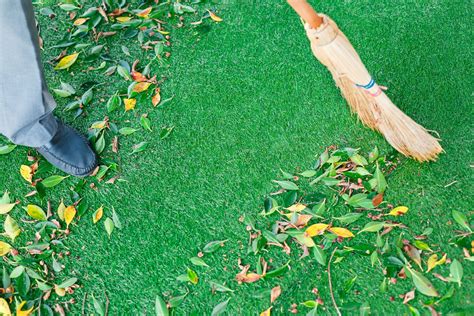 How to Clean Artificial Grass | Purchase Green