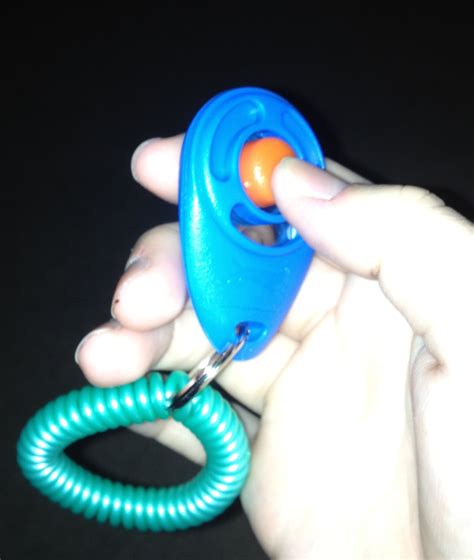 Image result for Clicker Trainer