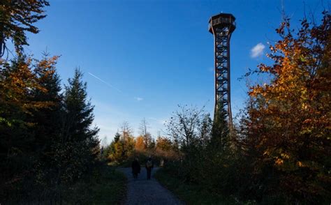 Aussichtsturm Hohe Warte: Blick in den Nordschwarzwald