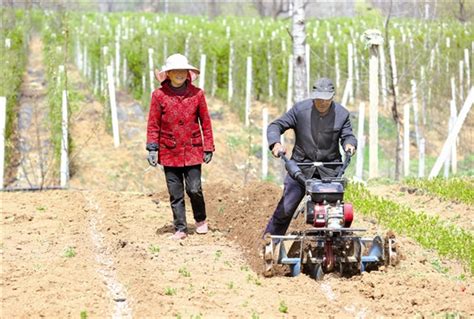 创新发展模式 带动农户增收 - 三门峡日报数字报刊平台