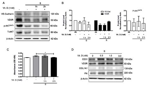Vitamin D Attenuates Loss of Endothelial Biomarker Expression in Cardio ...