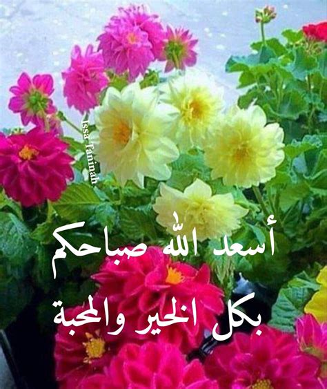 Pin by Nahed Abou El Soud on good morning | Good morning arabic, Good ...