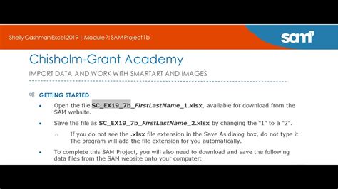 Excel 2019 Module 4 Sam Project 3B 的图像结果