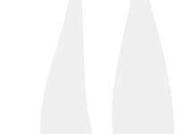 Image result for Bird Addiction Animation