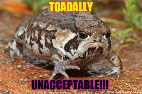 Image result for Toad Rage Meme