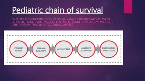 Basic life support (bls).pptx