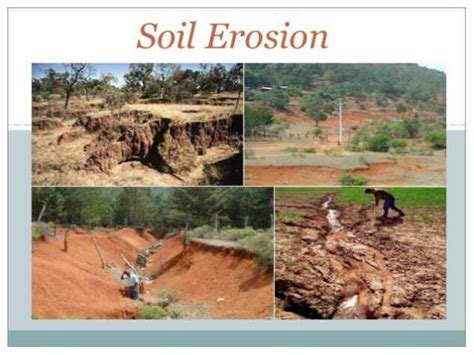 what is soil erosion and what are the causes - Brainly.in