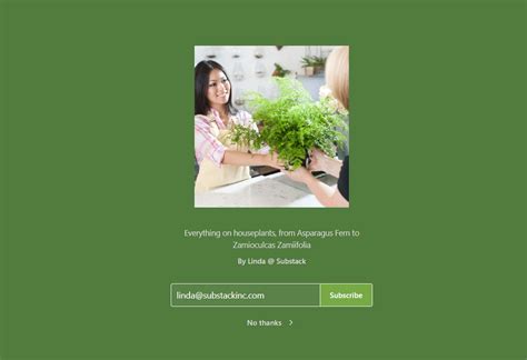 Image result for Substack Image Quote Template