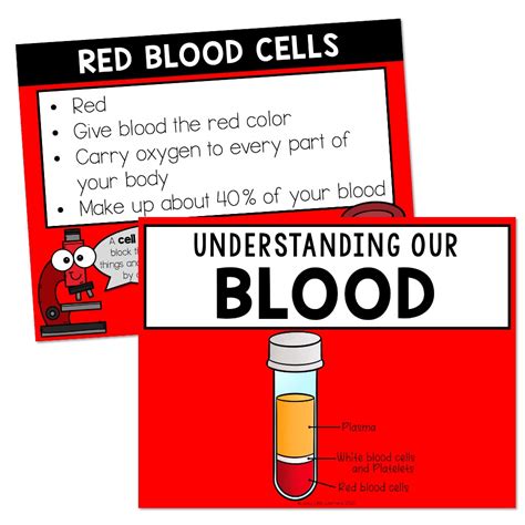 Free Science Lessons Blood 的图像结果