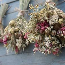 fiori secchi on line fiori secchi fiori secchi comprare fiori secchi fiori secchi on line fiori secchi fiori secchi comprare fiori secchi