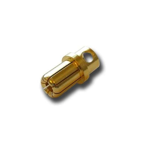 8mm Gold Plated Bullet Connector Male buy online at Best Price and ...