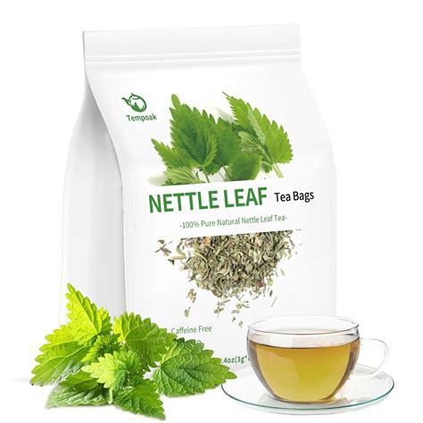 Amazon.com : Stinging Nettle Leaf Tea Bags - 60bags Pure & Natural ...