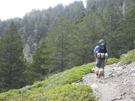 Mount. San Gorgonio, San Bernardino National Forest, California | Hike ...