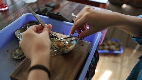 Image result for Shell Pearl Factory