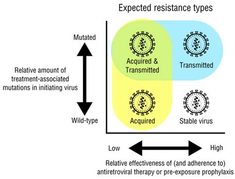The Effect of Treatment-Associated Mutations on HIV Replication and ...
