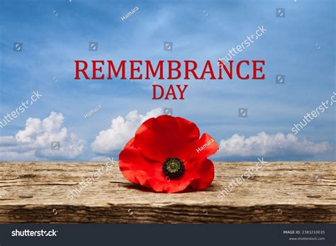 Poppy Pin Remembrance Day Poppy Flower Stock Illustration 2383210035 ...