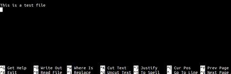 How to Write File in Nano 的图像结果