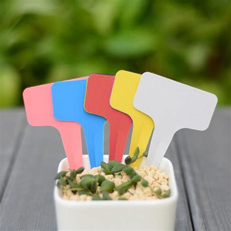 T-type Plant Labels Plastic Nursery Garden 30 Pieces メーカー公式ショップ