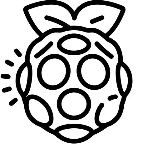 Image result for Raspberry Pi Icon