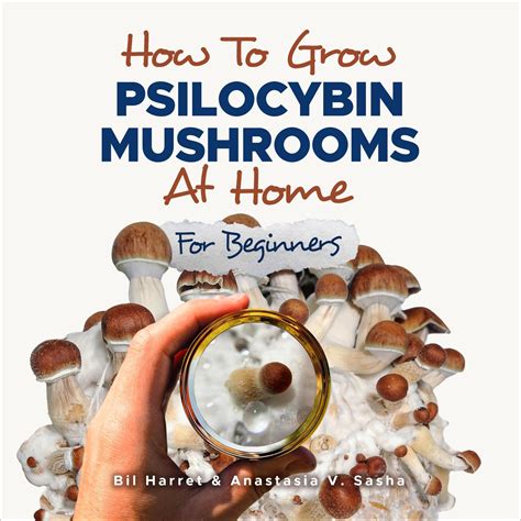 Buy How to Grow Psilocybin Mushrooms at Home for Beginners: 5 ...