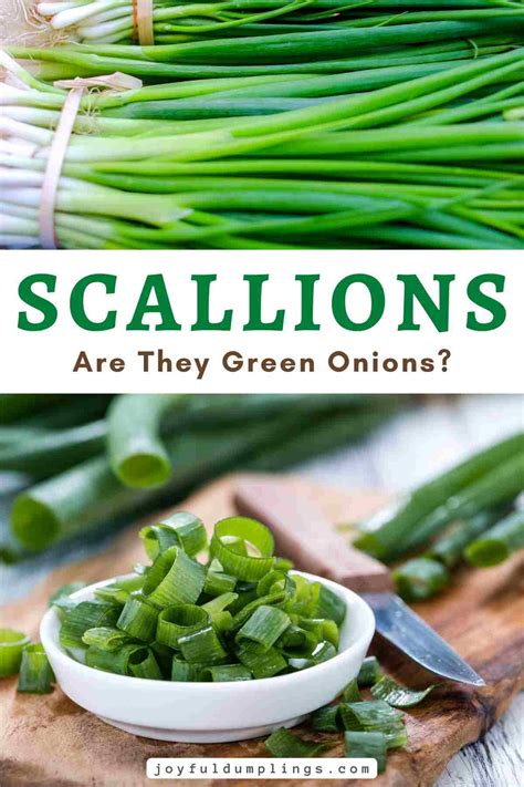 Green Onions Vs Chives