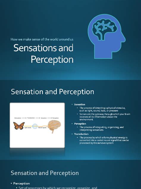 Image result for Sensation and Perception Examples