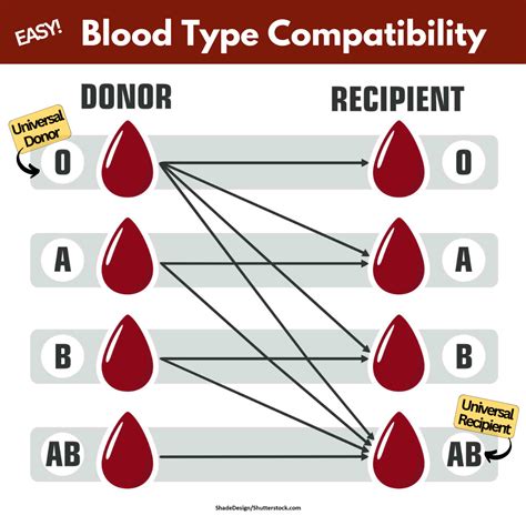 Blood Type Chart Amazon.com: Eldoncard INC Blood Type Test (Complete