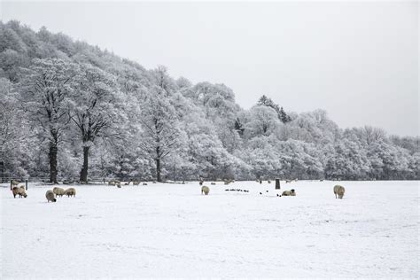 LIVE: LATEST WEATHER UPDATES FOR GALWAY - Galway Daily